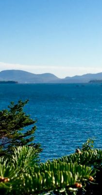 breathtaking views around acadia bay inn